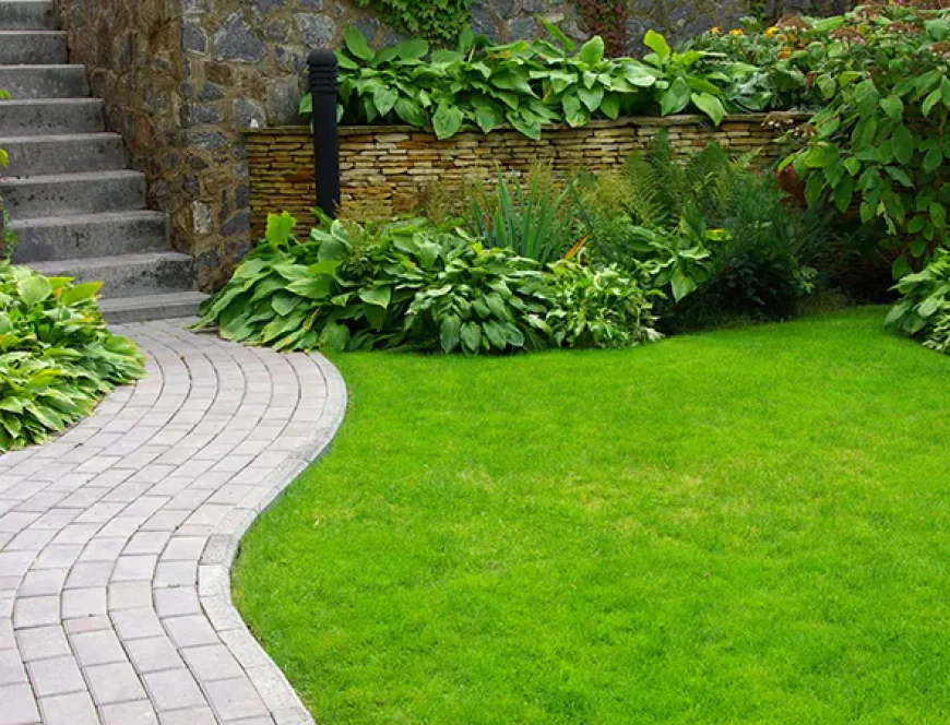 What to Know About Landscaping Services in Ringgold, GA Before You Hire