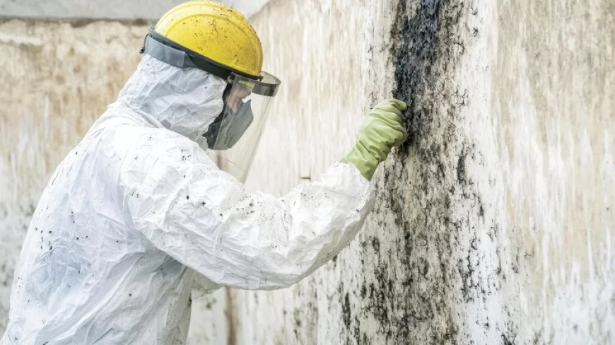 Fire Restoration Company Services in Georgia Helps Restoring Normalcy and Pursuing Insurance Claims