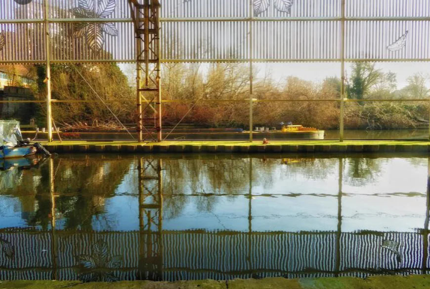 Dairy Farm Water Treatment: The Complete Guide to Cleaner Water, Healthier Livestock, and Algae-Free Dugouts in Alberta