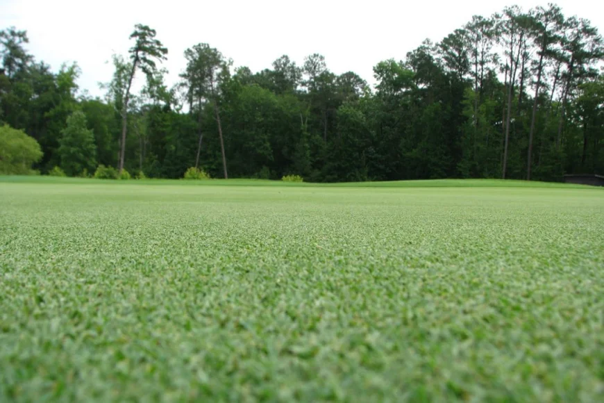 How to Choose the Best Artificial Turf in Adelaide for Your Home and Garden