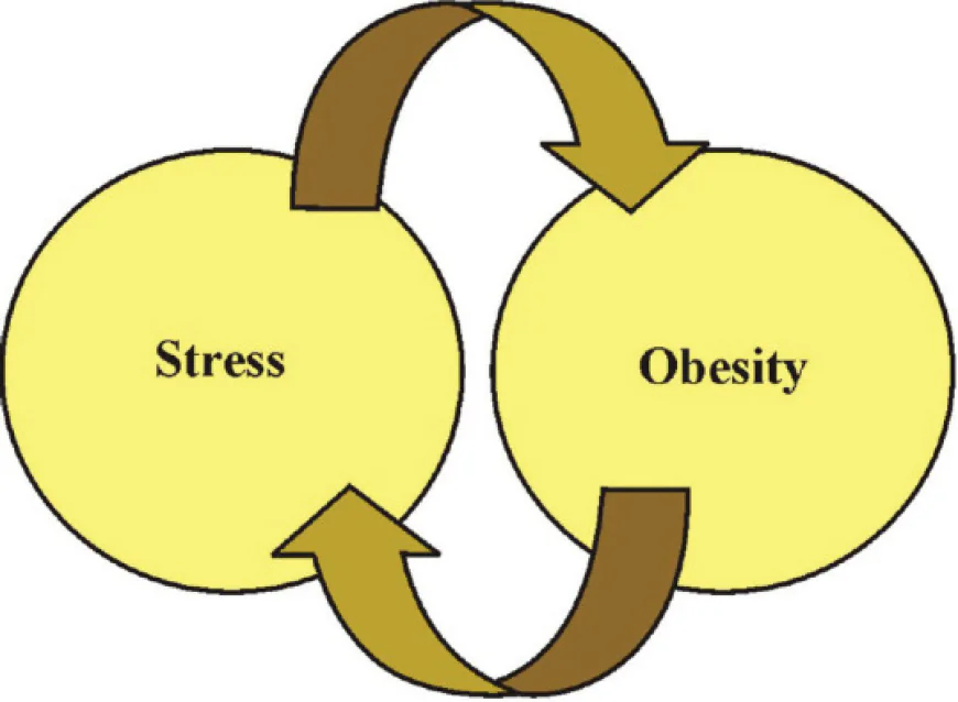 Chronic Stress Obesity Causes: Understanding the Connection with LeanAndFit