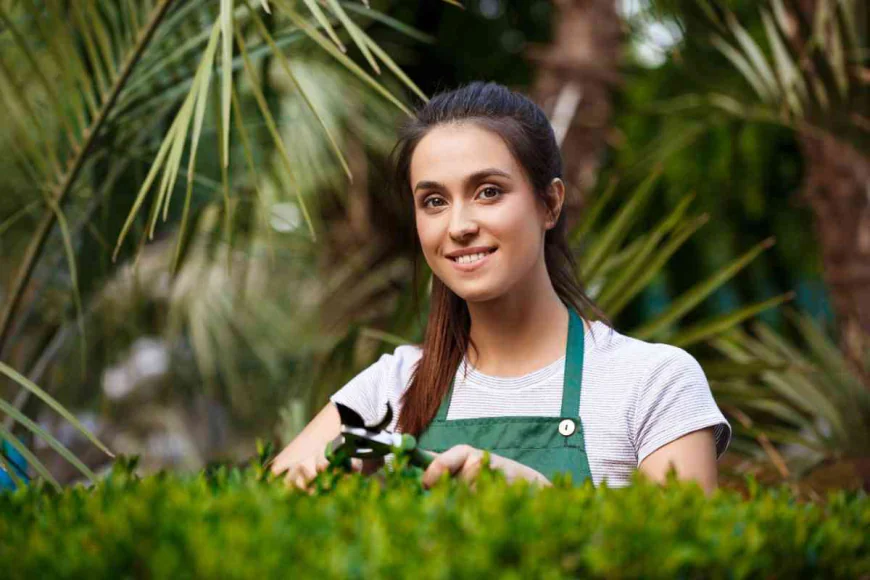 B.Sc Hons Agriculture Career Scope & Jobs | KRMU