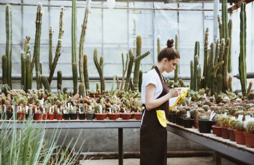 Greenhouse Cleaning Services in Virginia: Eco-Safe Homes Without the Toxic Trade-Off