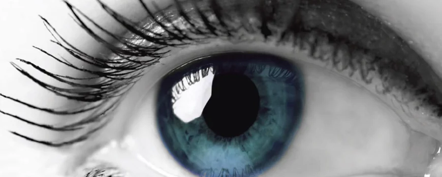 Top 10 Eye Drops Franchise Companies in India