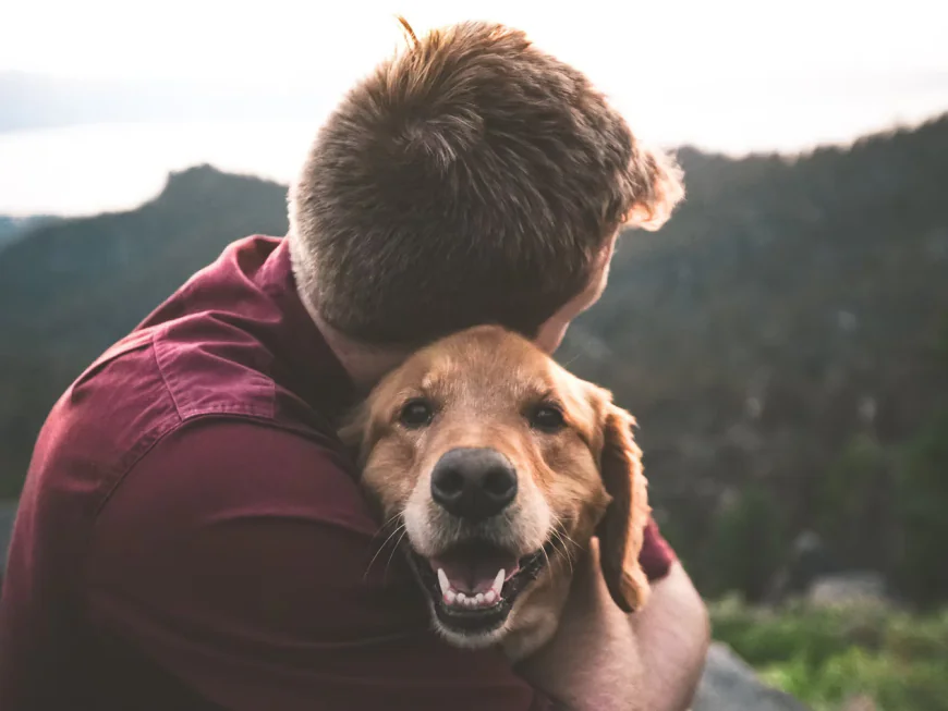 Busy Schedules Become Easier with Trusted Doggy Daycare Salem Oregon
