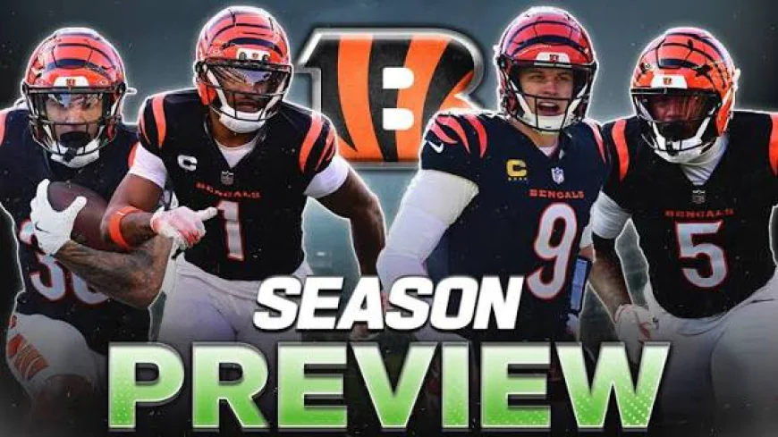Bengals Information 12/1): Joe Burrow previously proving doubters mistaken