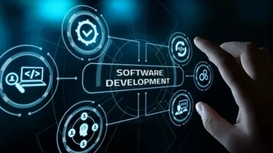 Smart Business Growth with Software Development and SEO