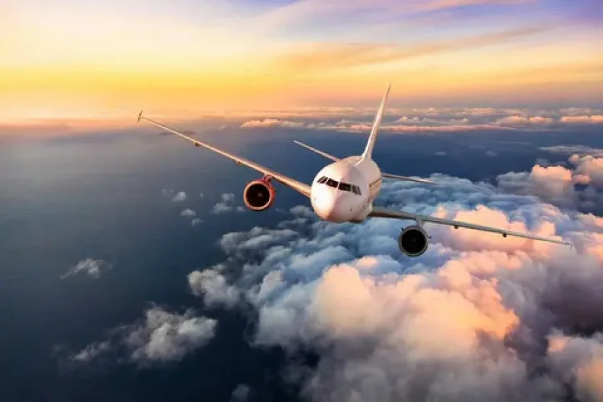 Best B2B Travel Agency in India – Why Fly24hrs is the Preferred Choice for Travel Agents