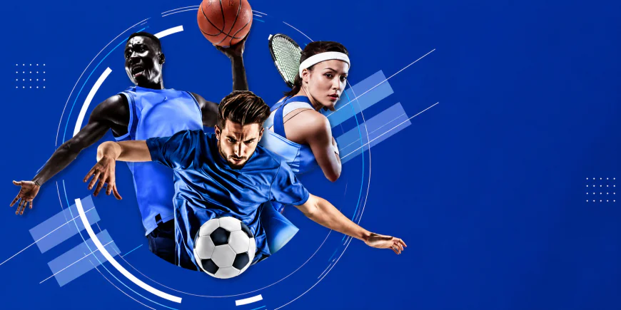 AllPanelexch App Access Guide for Mobile Sports and Live Casino Navigation