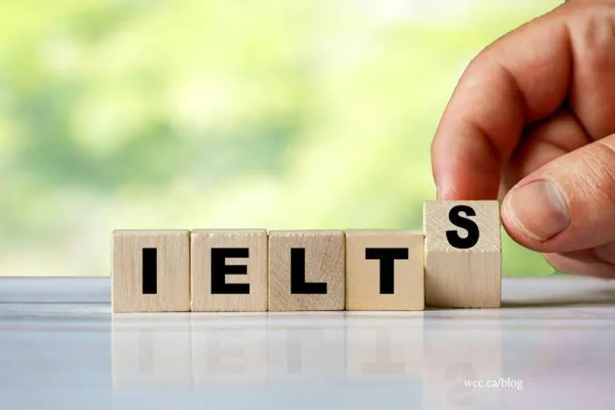 Can You Self-Study for the IELTS, or Do You Need a Coach?
