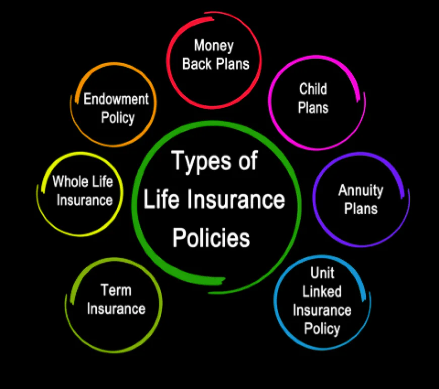 Navigating the Maze of Life Insurance Plans to Fit Your Goals