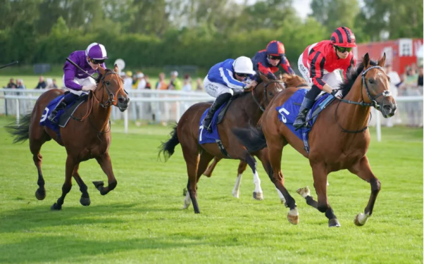 Chennai Horse Race Culture and Its Place in Indian Turf History