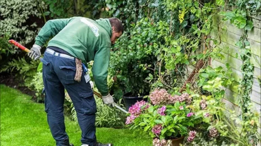 Expert Garden Maintenance and Landscape Design Services for Beautiful Outdoor Spaces