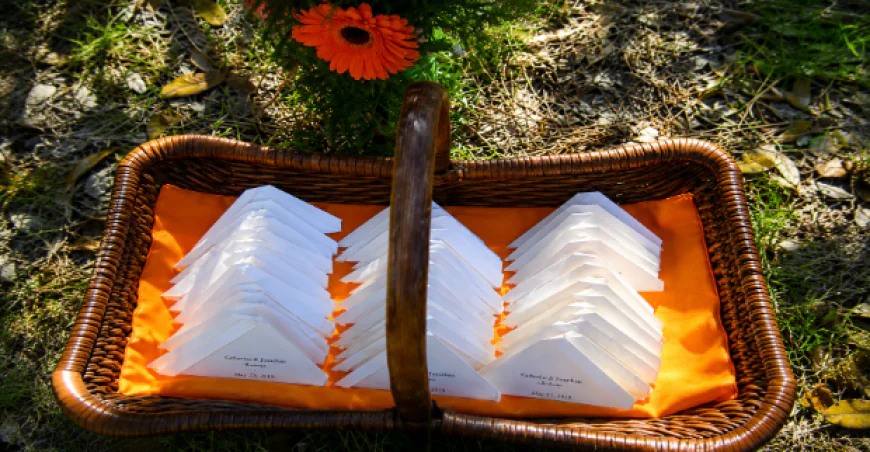 Butterfly Release for Funeral: A Meaningful Way to Honor a Loved One