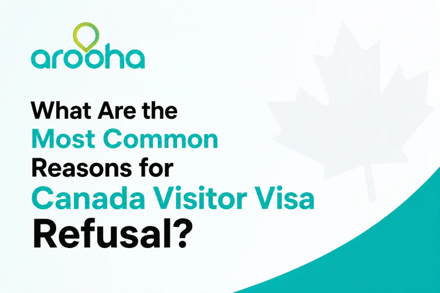 What Are the Most Common Reasons for Canada Visitor Visa Refusal?