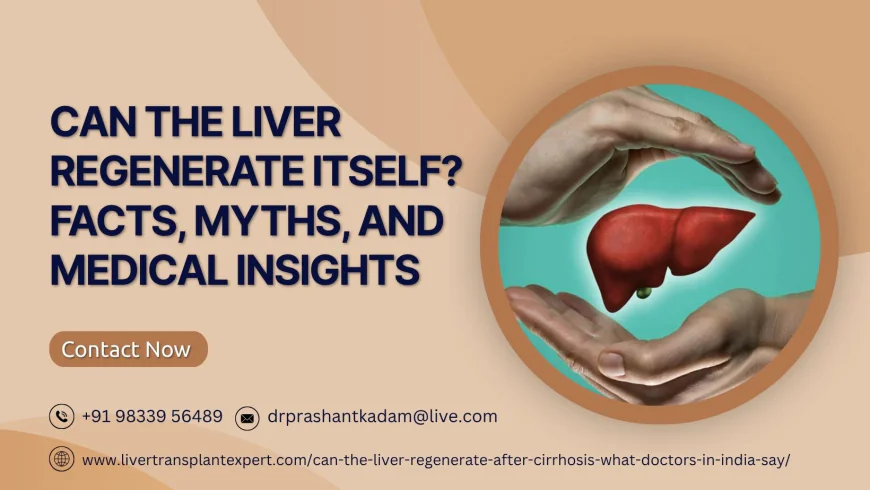 Can the Liver Regenerate Itself? Facts, Myths, and Medical Insights