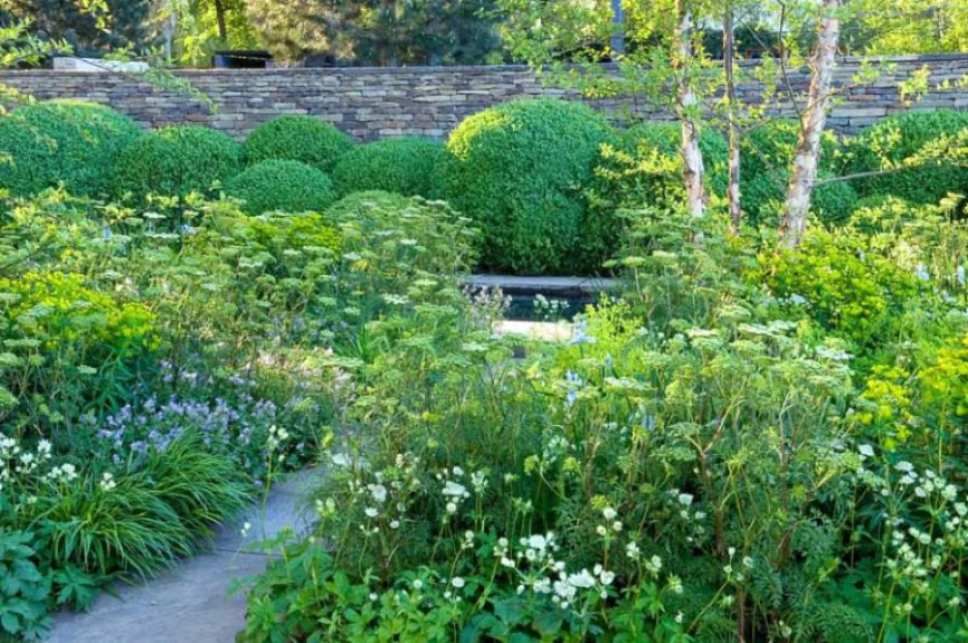 When Is the Best Time to Schedule Shrub Care Services?