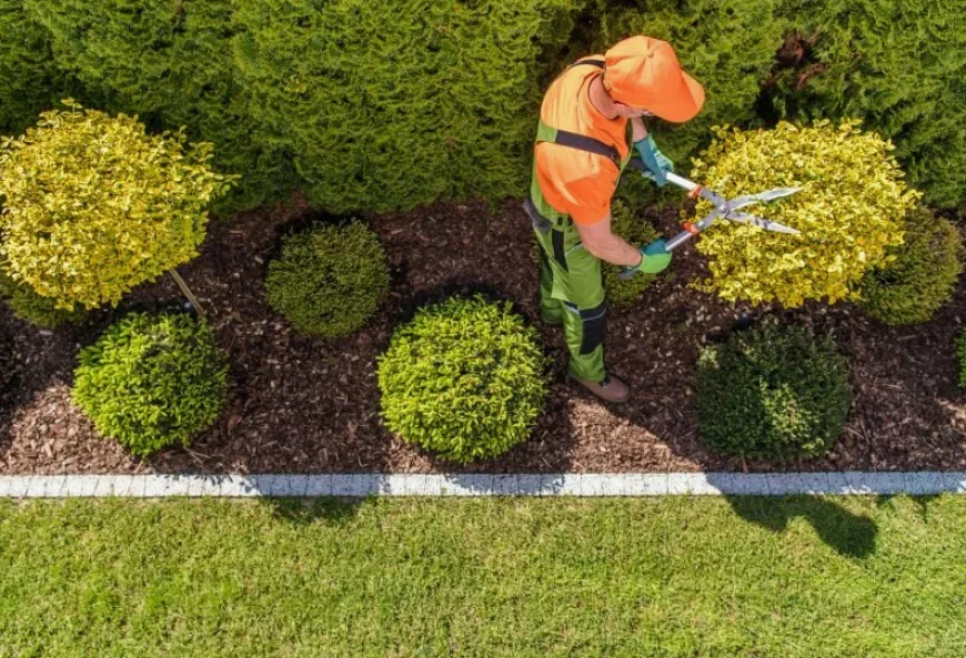 Grapevine Commercial Landscaping for Professional Property Enhancement