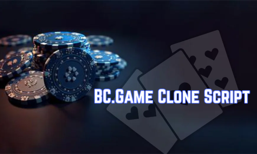 How the Star Wins Update Is Boosting Demand for BC.Game Clone Script Solutions?