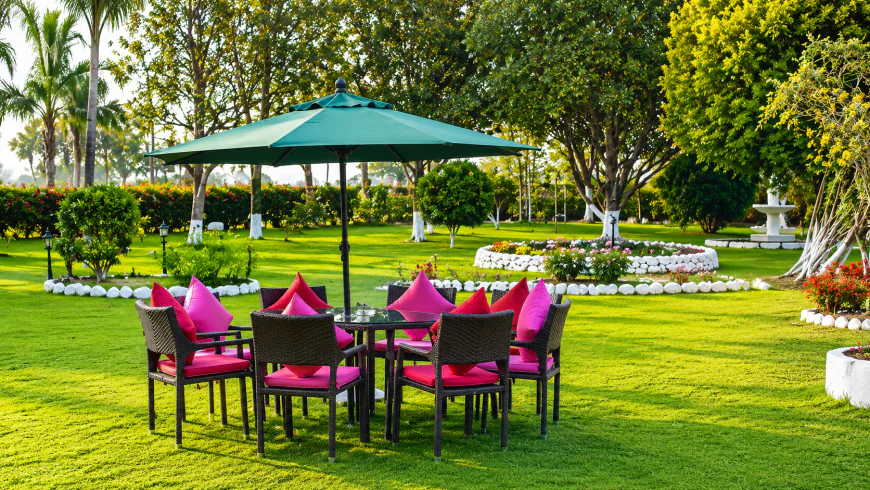 Tea Garden Tourism in India: Why Choose Tea Resorts