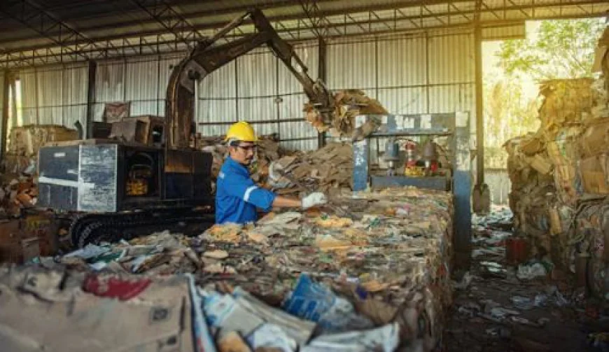 Why Are Dumpster Rentals Becoming a Popular Waste Disposal Choice?