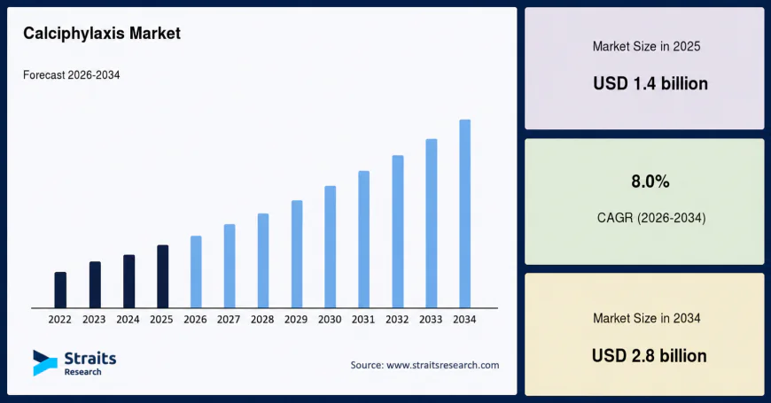 Calciphylaxis Market Segmentation Analysis 2026–2034