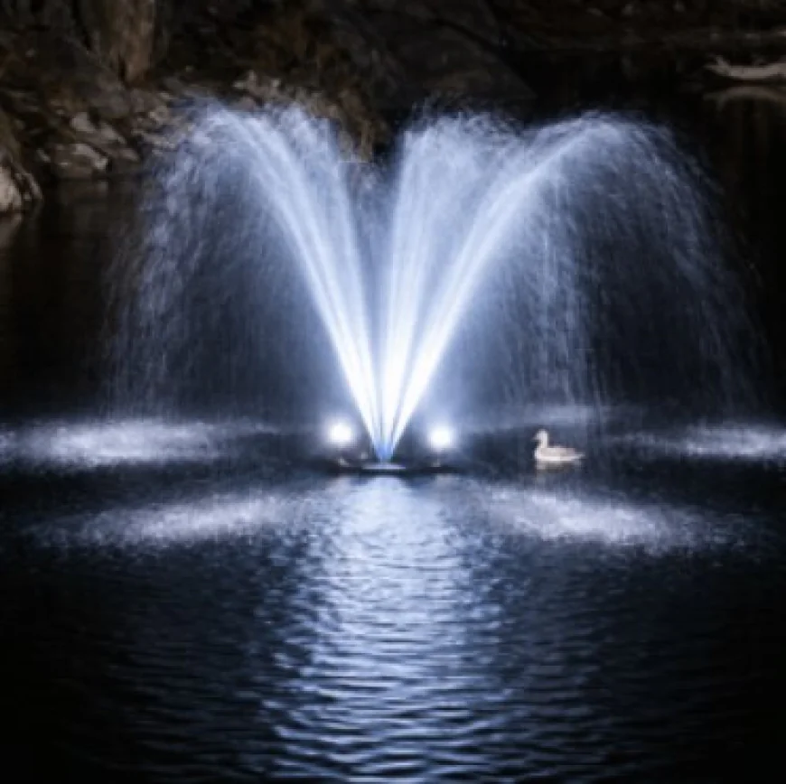 Floating Pond Fountain: Benefits and How to Choose the Right One