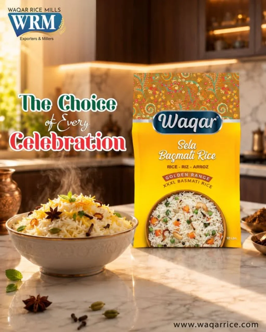 Why Is The Biggest Basmati Rice Exporter In Punjab Going Organic?