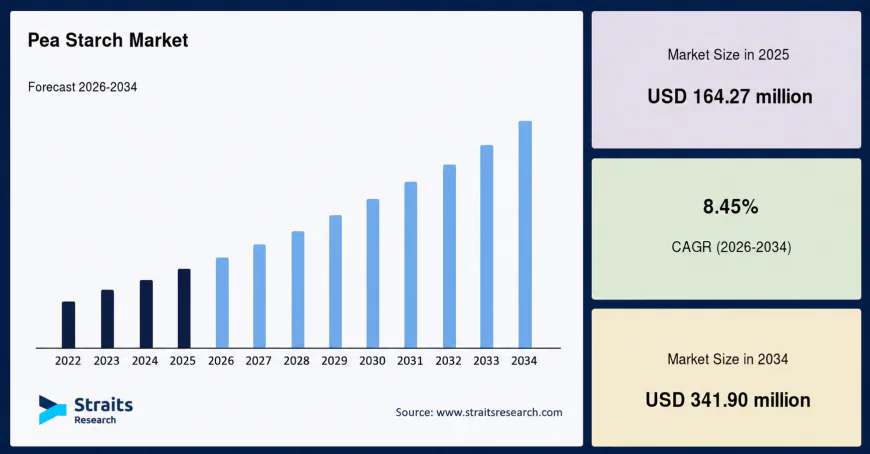 Pea Starch Market Share Analysis & Forecast 2026–2034