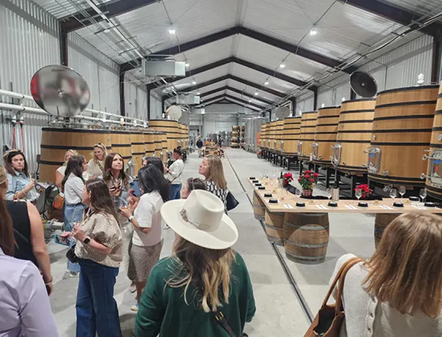 Exploring Texas Hill Country Wine Tours: A Guide for First-Time Visitors
