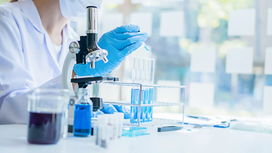 PPX1: Why This Exopolyphosphatase Matters In Polyphosphate Research