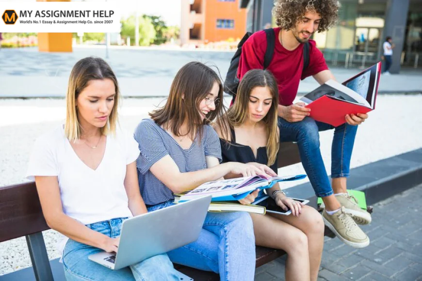 Academic Success Made Easier with Professional Assignment and Exam Support