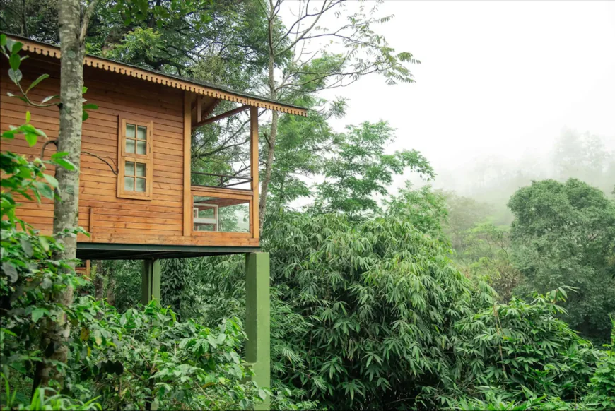 Plantation Resorts in Kerala: Discover Nature, Heritage & Luxury at Misty Mountain Experience