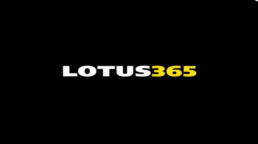 Lotus365: A Modern Cricket Exchange Platform for Online Sports Enthusiasts