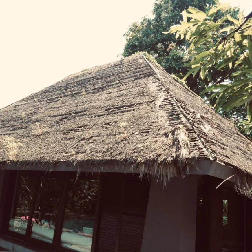 How a Reed Thatch Roof Enhances Outdoor Spaces with Natural Beauty