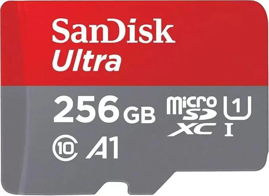 Maximize Storage with the SanDisk 256GB Memory Card