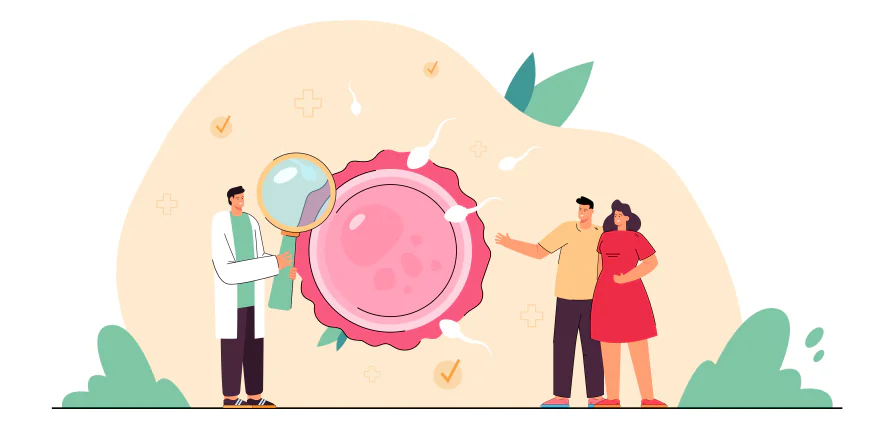 What to Expect During the Oocyte Donation Process