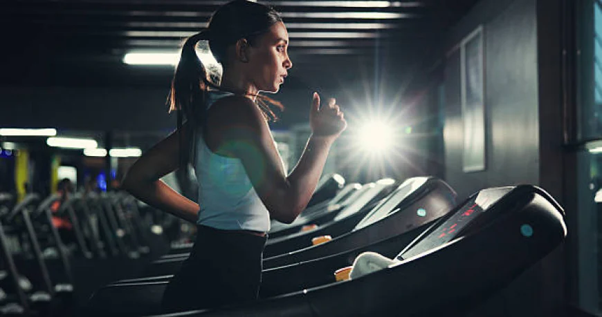 How Targeted Dietary Architecture Maximizes Whole Body Cellular Energy Systems