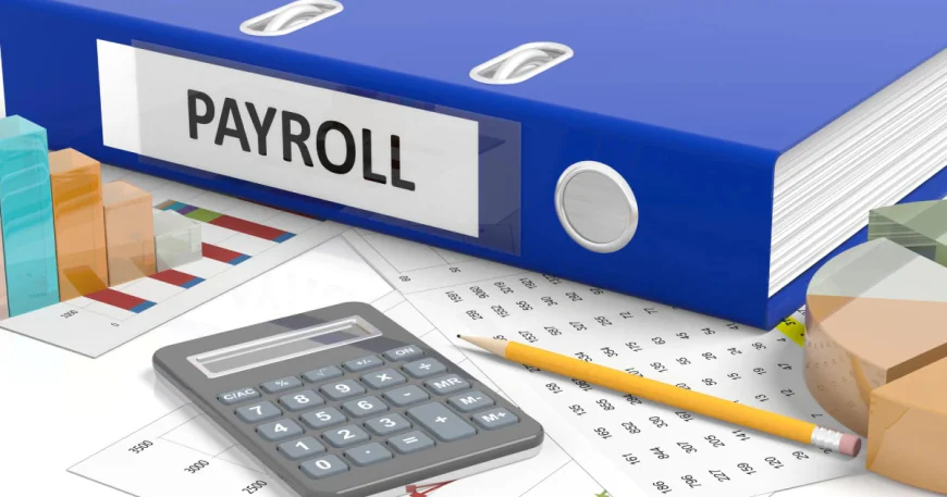 Payroll And Accounting Services ;A Complete Solution For Business Owners