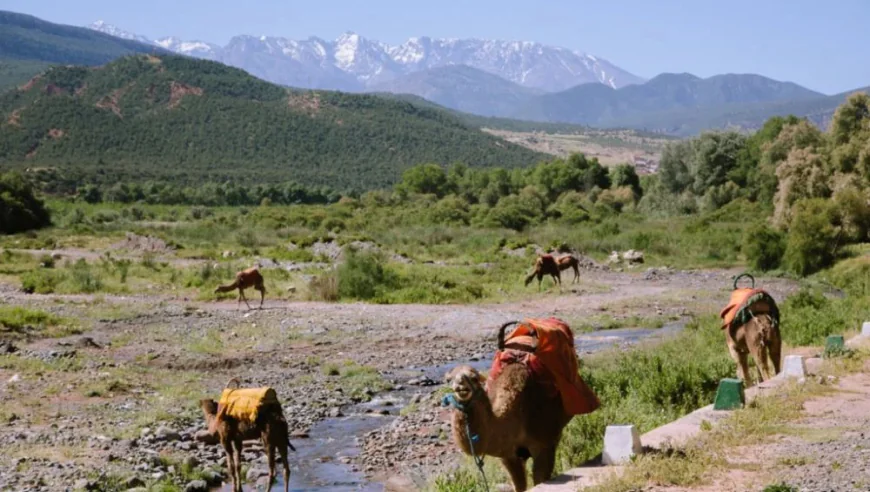 The Most Beautiful Scenic Routes Through the Atlas Mountains Morocco