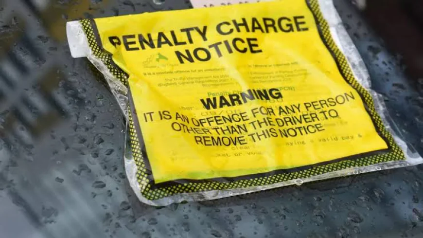 Why Is It Important to Check Every Detail Before Paying a Parking Notice?