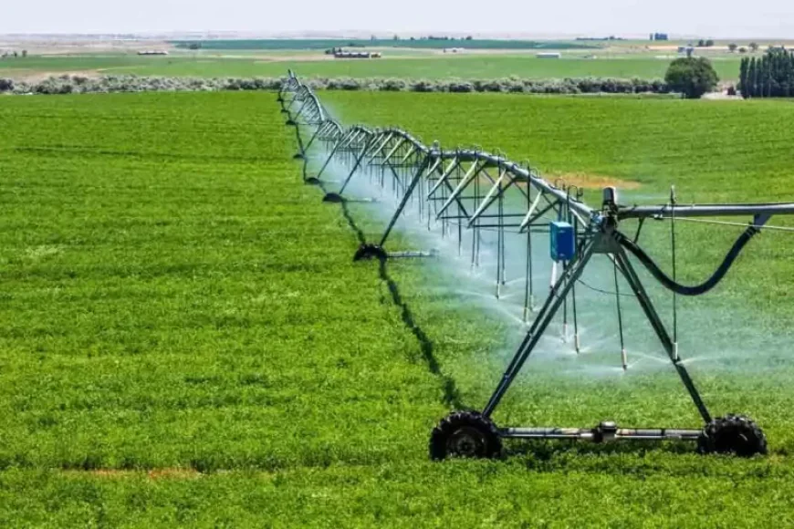 Why Is Proper Drainage Important for a Lawn Sprinkler Irrigation System?