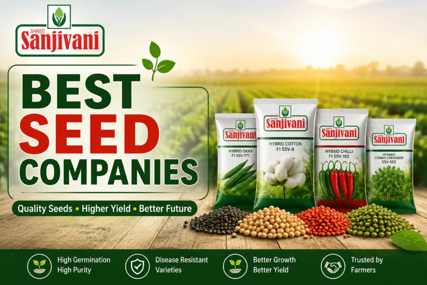 Best Seed Companies(Sanjivaniseeds): A Complete Guide for Farmers