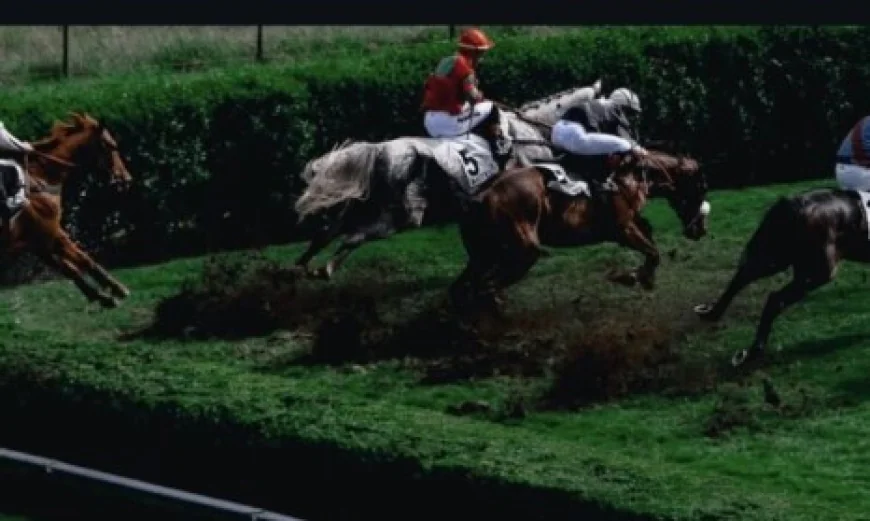 Delhi Horse Race: Understanding the Tradition and Thrill Behind Horse Racing