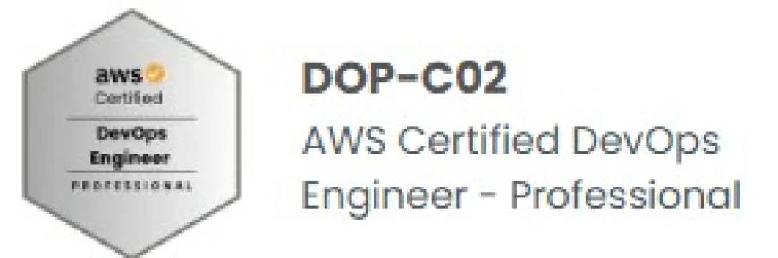 AWS Certified DevOps Engineer - Professional