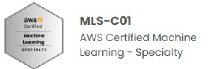 AWS Certified Machine Learning - Specialty
