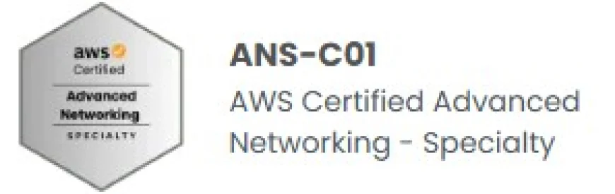 AWS Certified Advanced Networking - Specialty