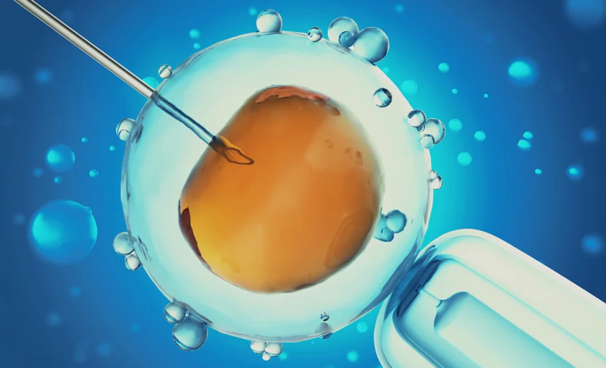 IVF Treatment in Noida: Expert Care with Dr. Shreshtha Sagar Tanwar