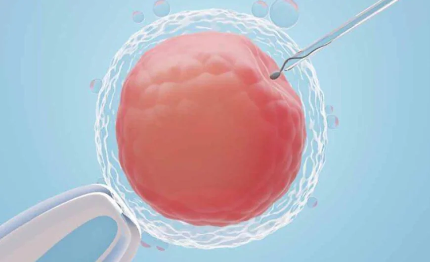 ICSI Treatment in Noida: Advanced Fertility Care with Dr. Shreshtha Sagar Tanwar