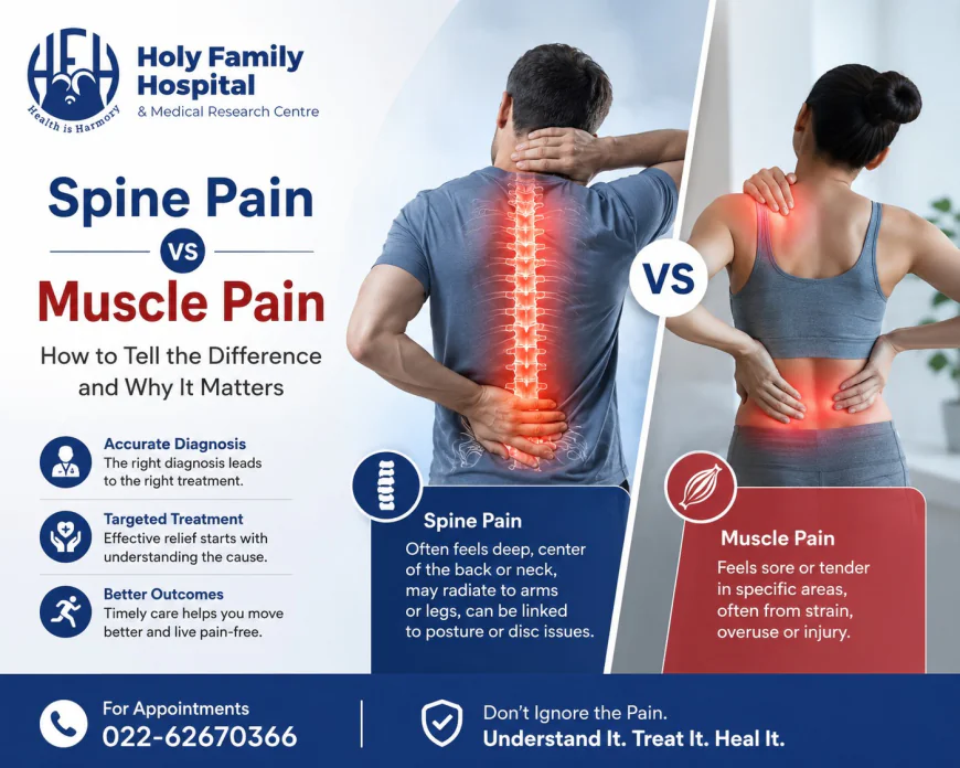 Spine Pain vs Muscle Pain: How to Tell the Difference and Why It Matters